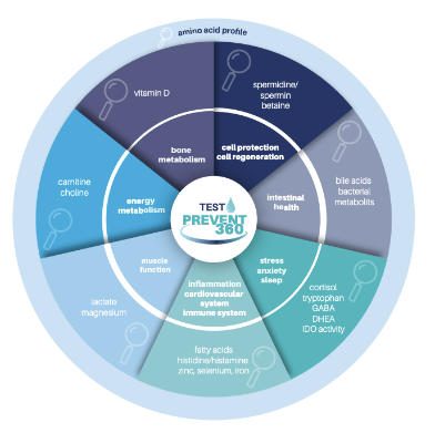 Prävent 360 Bluttest von Biovis
