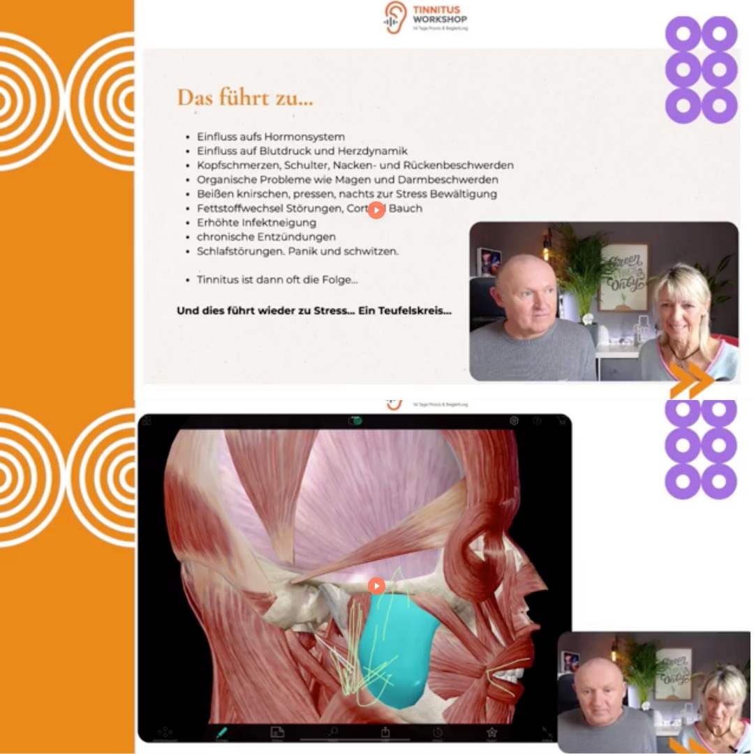 Tinnitus 2-Wochen Praxis-Workshop – Bild 2