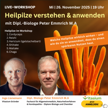Heilpilze verstehen & anwenden | Live-Workshop mit Peter Emmrich | 26.11.2025 um 19 Uhr