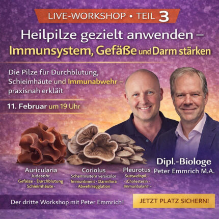 Heilpilze gezielt anwenden Teil 3 – Immunsystem, Gefäße und Darm stärken