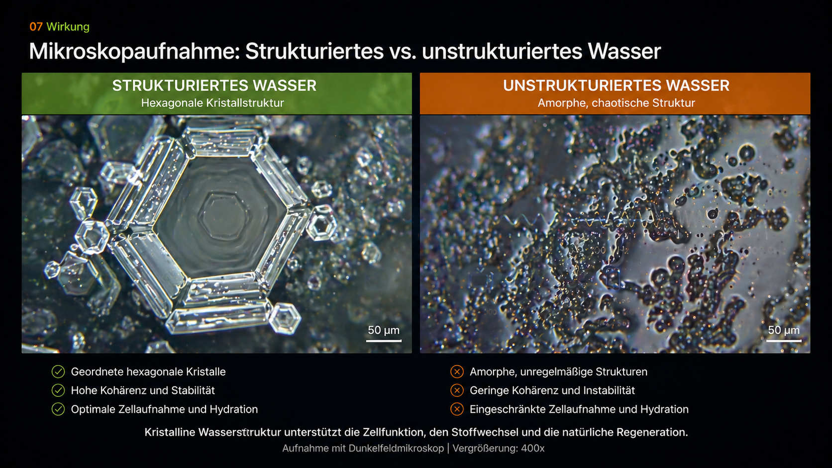 Wirkung von Hochfrequenz auf Mikrotubuli, DNA und strukturiertes Wasser